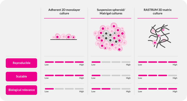 RASTRUM enables scalable, reproducible, and biologically relevant 3D cell models compared to 2D cell culture or suspension cultures. RASTRUM enables scalable, reproducible, and biologically relevant 3D cell models compared to 2D cell culture or suspension cultures.