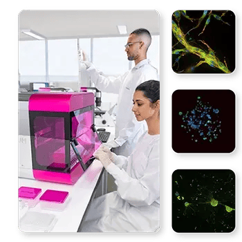 3D_CellModel_Atals_hero2
