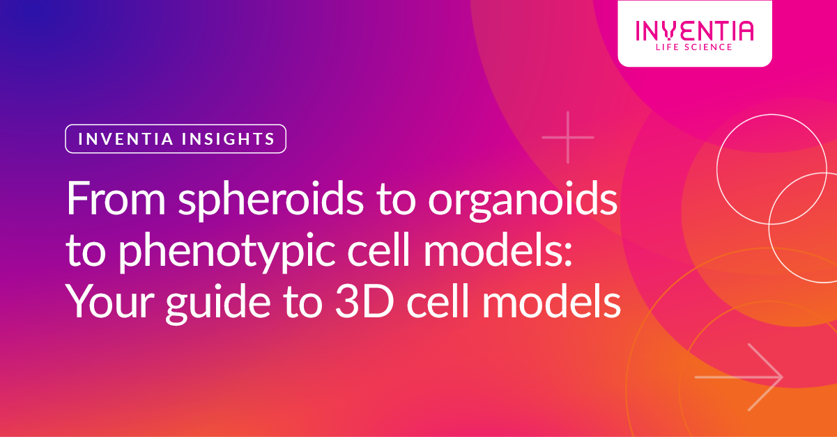 3D Cell Model Terminology: Spheroids vs. Organoids vs. Phenotypic Models