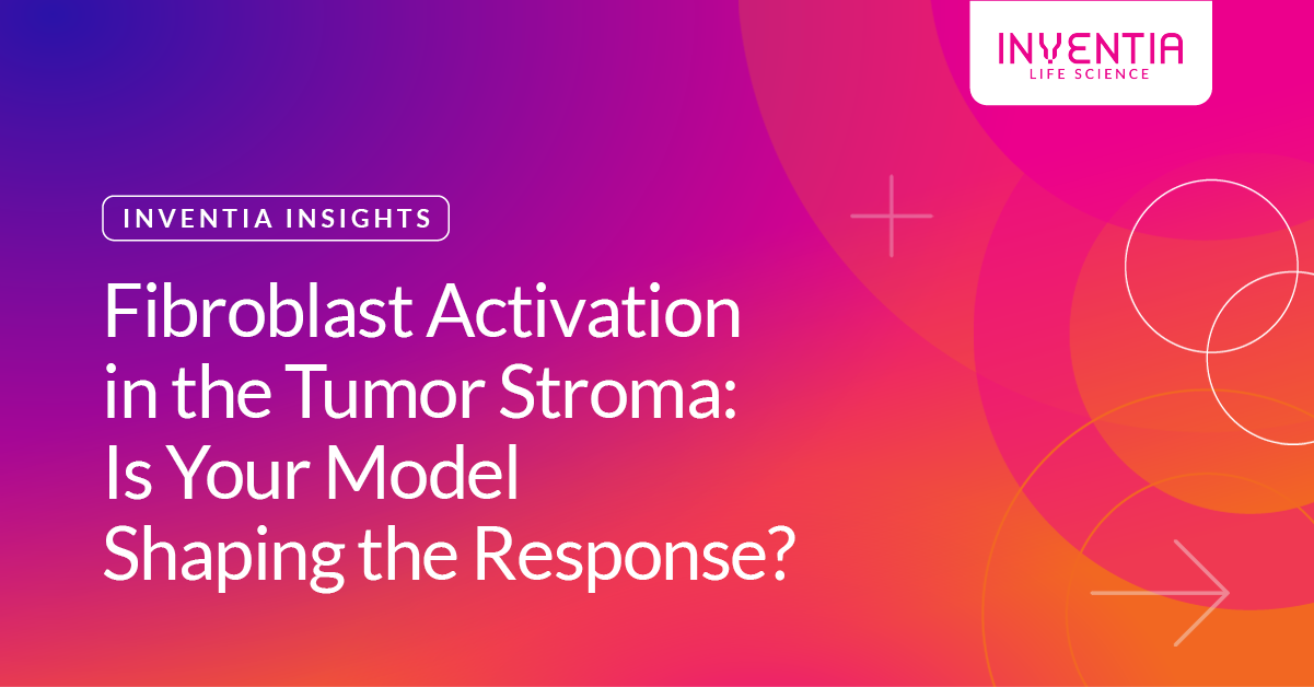 Fibroblast Activation in the Tumor Stroma: Is Your Model Shaping the Response?