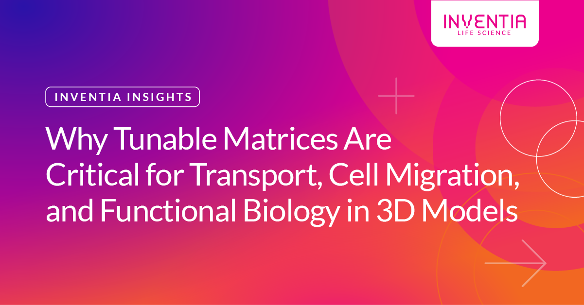 Why Tunable Matrices Are Critical for Transport, Cell Migration, and Functional Biology in 3D Models