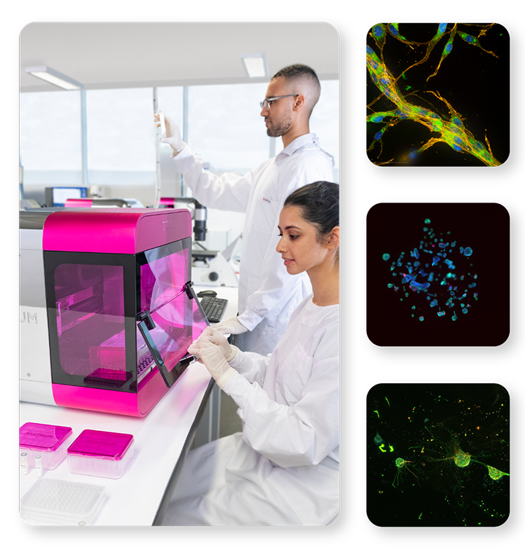 Scientists in a laboratory working with the RASTRUM™ platform, loading a well plate for 3D cell model generation. Adjacent fluorescence microscopy images showcase diverse 3D cell model architectures optimized for applications such as imaging, screening, and cell extraction.