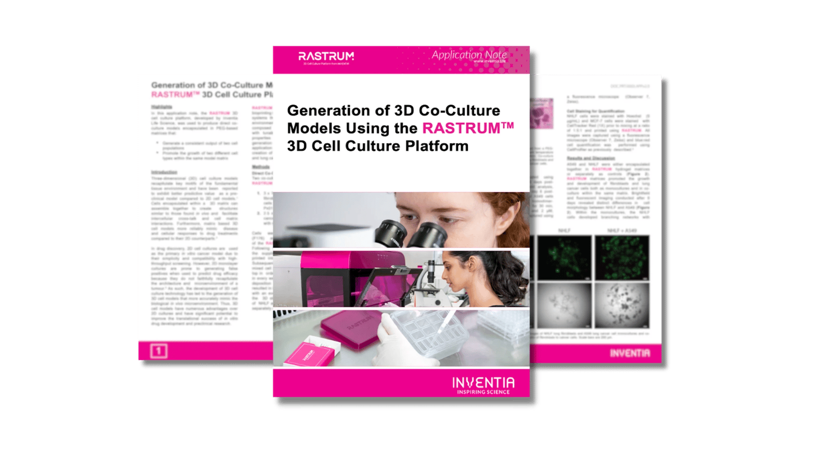 Generation of 3D co-culture models using the RASTRUM™ 3D cell culture platform