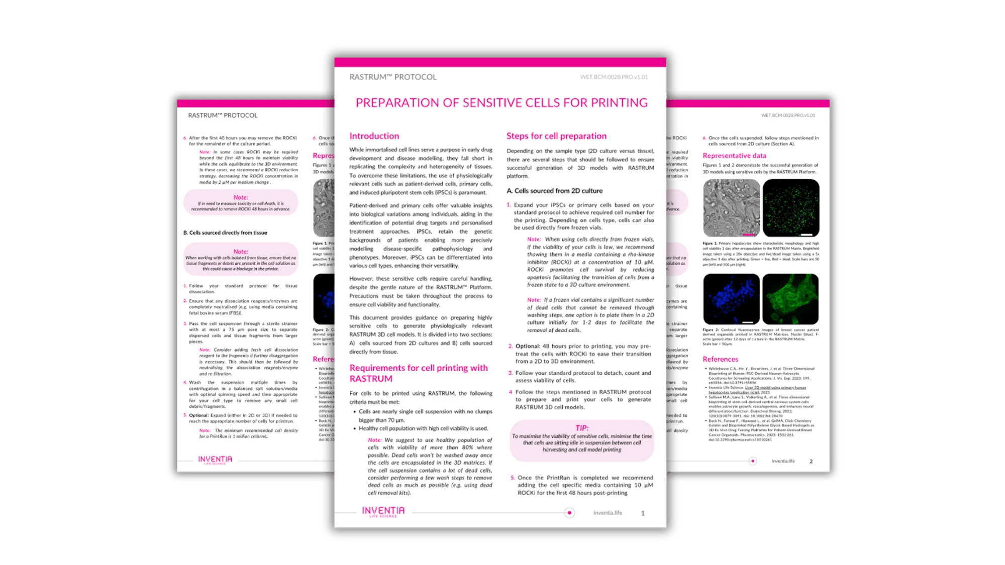 Preparation of sensitive cells for printing