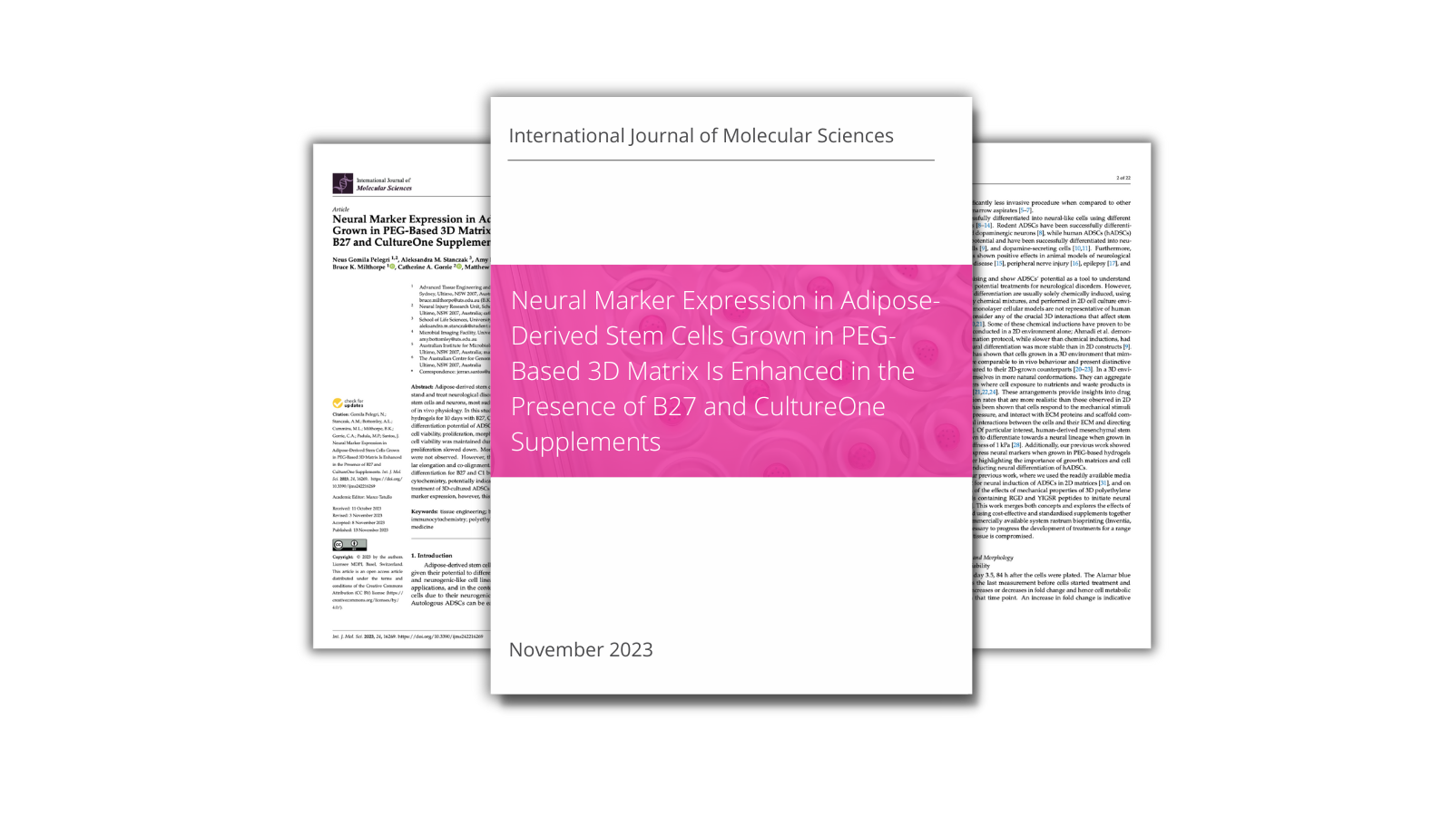 Neural Marker Expression in Adipose-Derived Stem Cells Grown in PEG-Based 3D Matrix Is Enhanced in the Presence of B27 and CultureOne Supplements