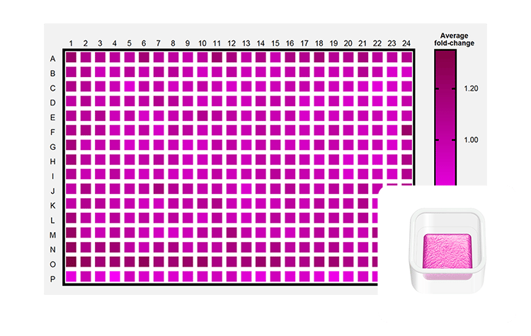 Heatmap showing drug sensitivity assay results for MCF-7 cells printed in a Screening Model architecture across 384-well plates. Inset displays a schematic of the Screening Model, designed for high-throughput workflows, drug screening, and cytotoxicity assays.