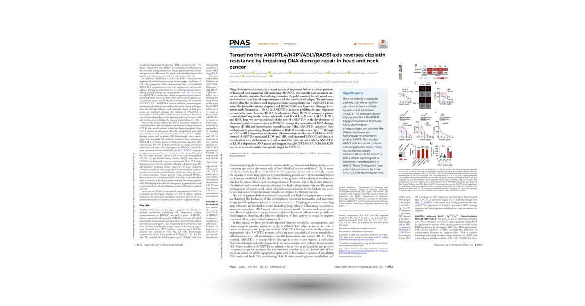 Targeting the ANGPTL4/NRP1/ABL1/RAD51 axis reverses cisplatin resistance by impairing DNA damage repair in head and neck cancer