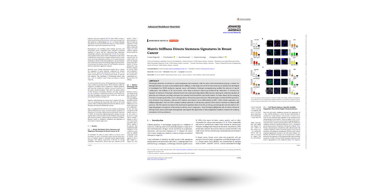 Matrix Stiffness Directs Stemness Signatures in Breast Cancer