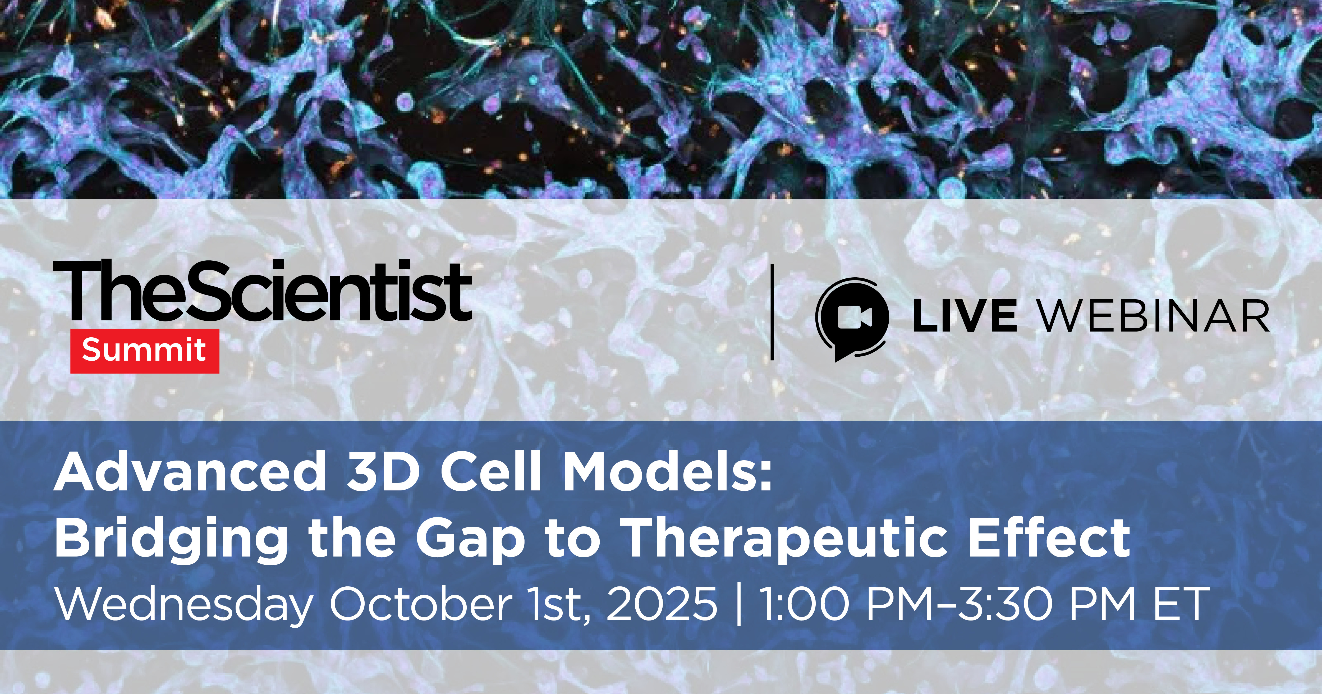 Advanced 3D Cell Models: Bridging the Gap to Therapeutic Effect