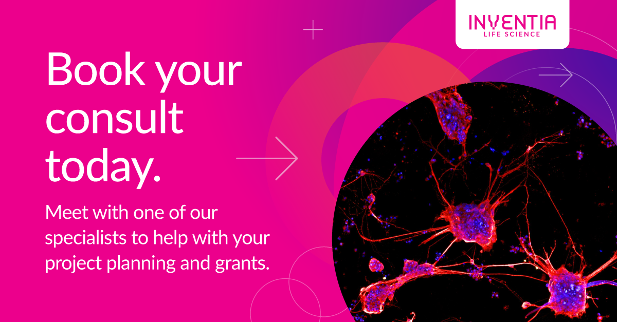 Book your consult today