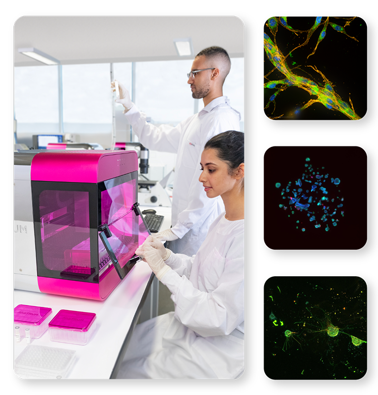 Scientists in a laboratory working with the RASTRUM™ platform, loading a well plate for 3D cell model generation. Adjacent fluorescence microscopy images showcase diverse 3D cell model architectures optimized for applications such as imaging, screening, and cell extraction.