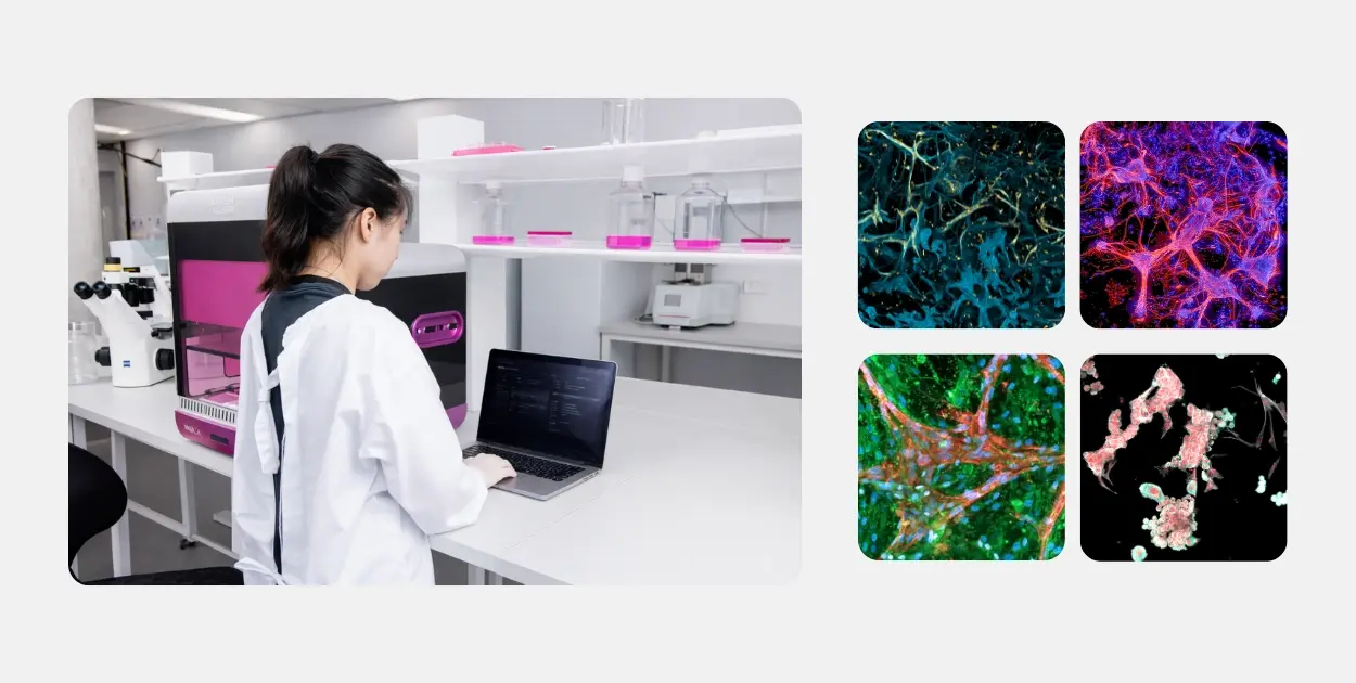 Grant Support Landing Page Hero