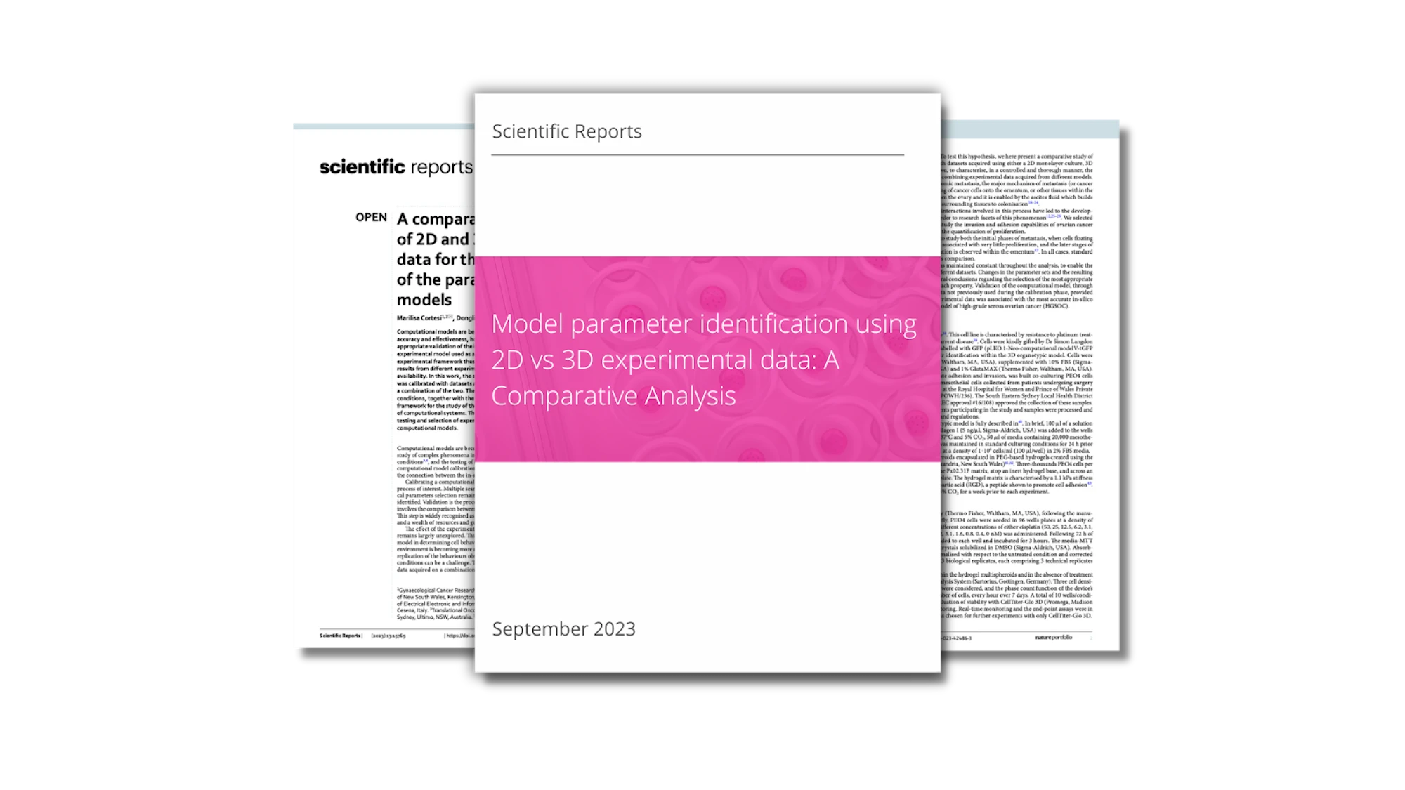 Model parameter identification using 2D vs 3D experimental data: A comparative analysis