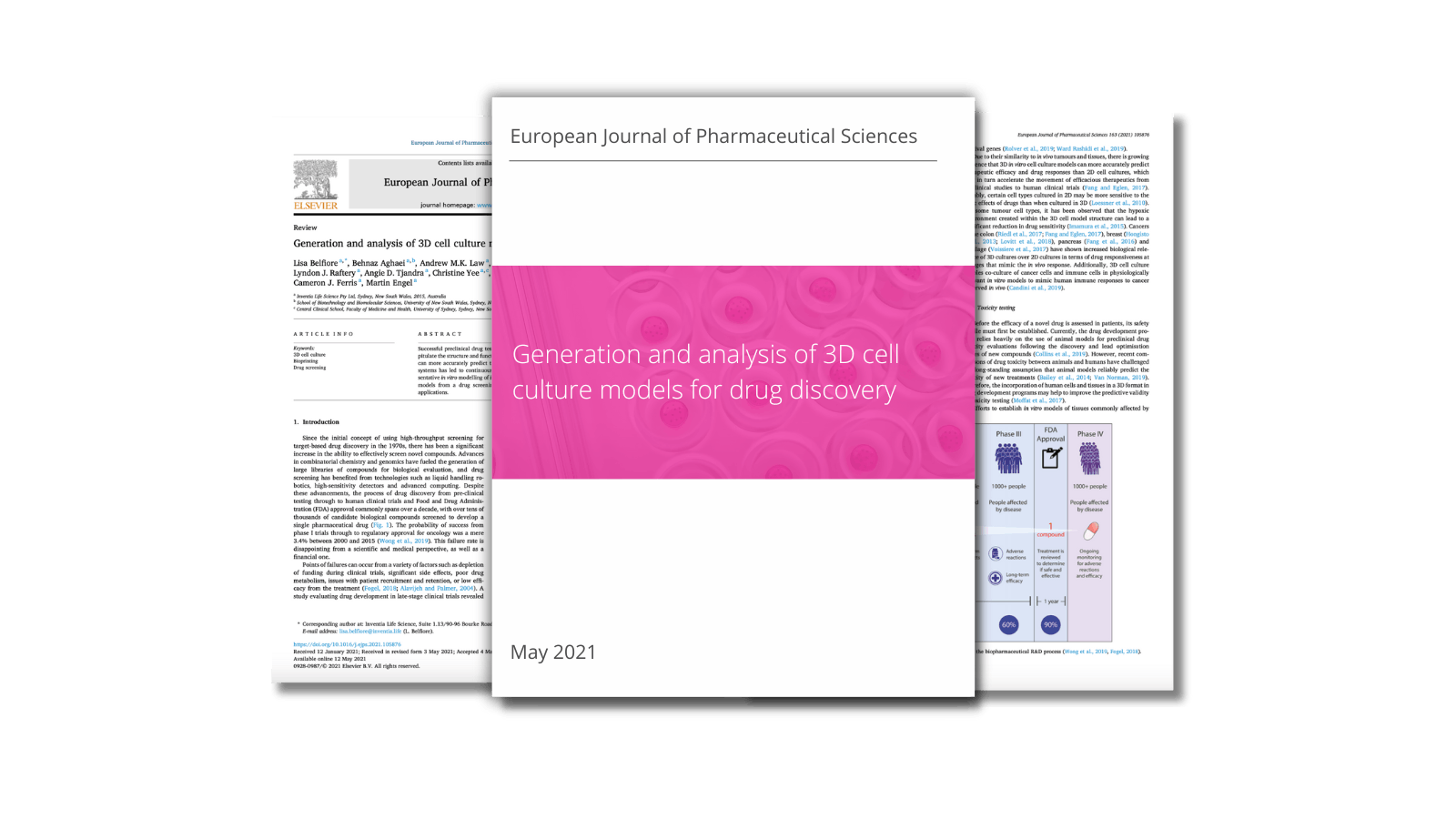 Generation and analysis of 3D cell culture models for drug discovery