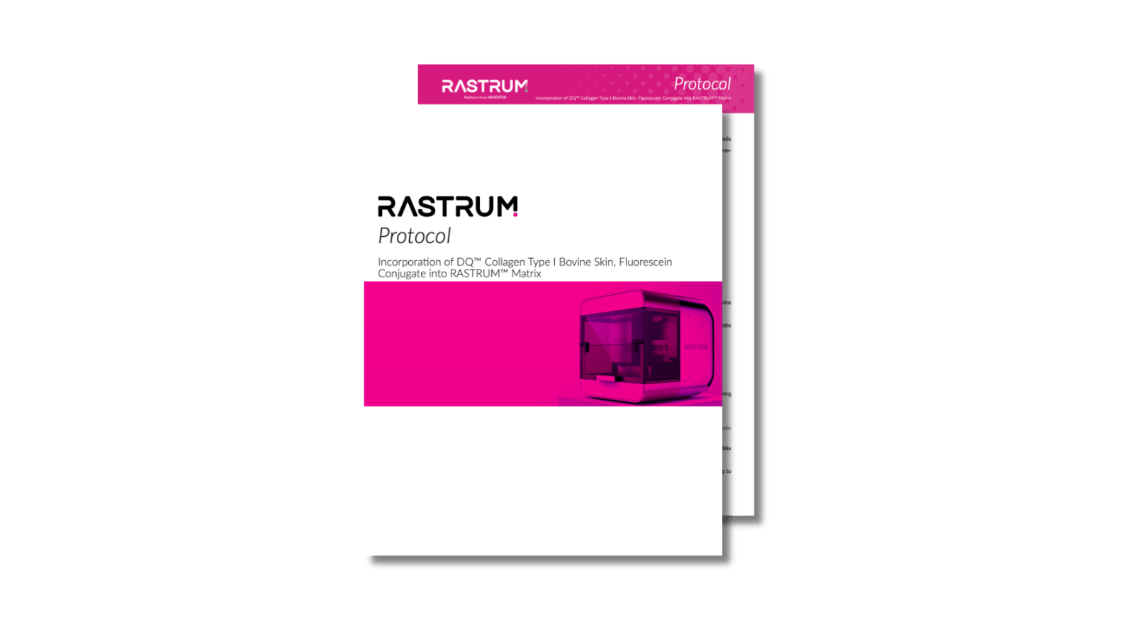 Incorporation of DQ™ collagen type I bovine skin, fluorescein conjugate into RASTRUM™ Matrix