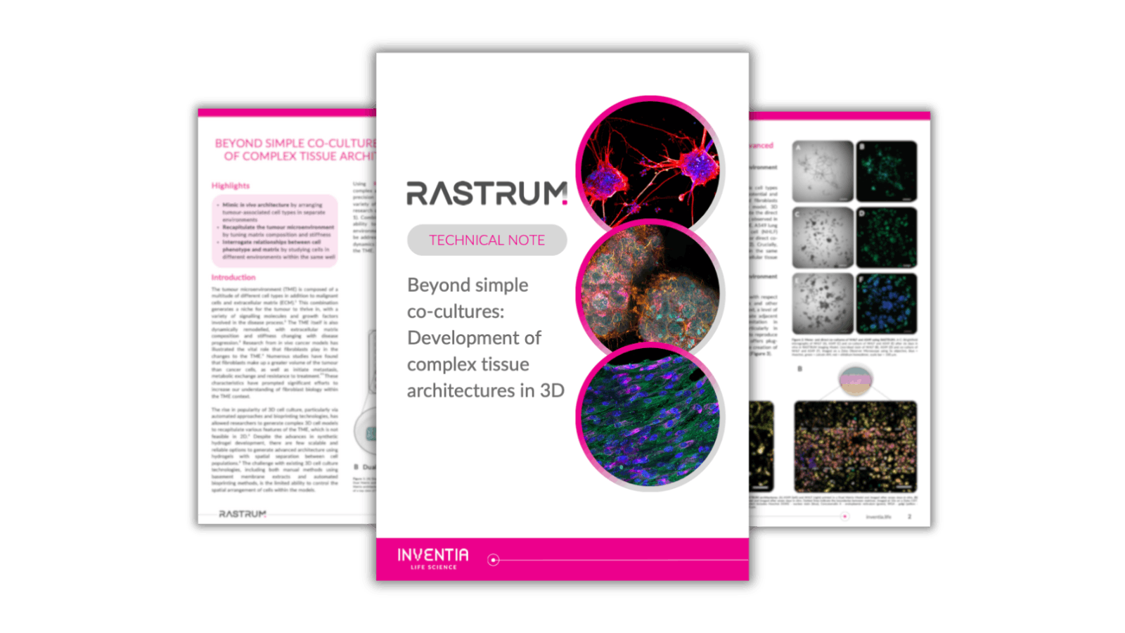 Beyond simple co-cultures: Development of complex tissue architectures in 3D