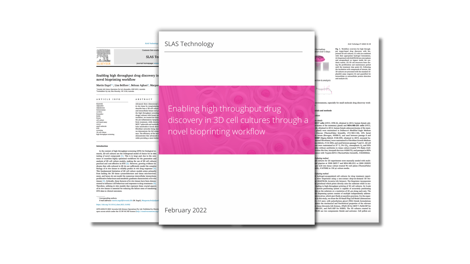 Enabling high throughput drug discovery in 3D cell cultures through a novel bioprinting workflow
