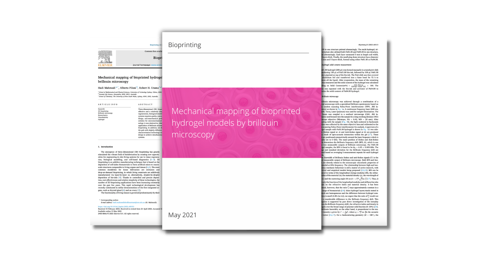 Mechanical mapping of bioprinted hydrogel models by brillouin microscopy