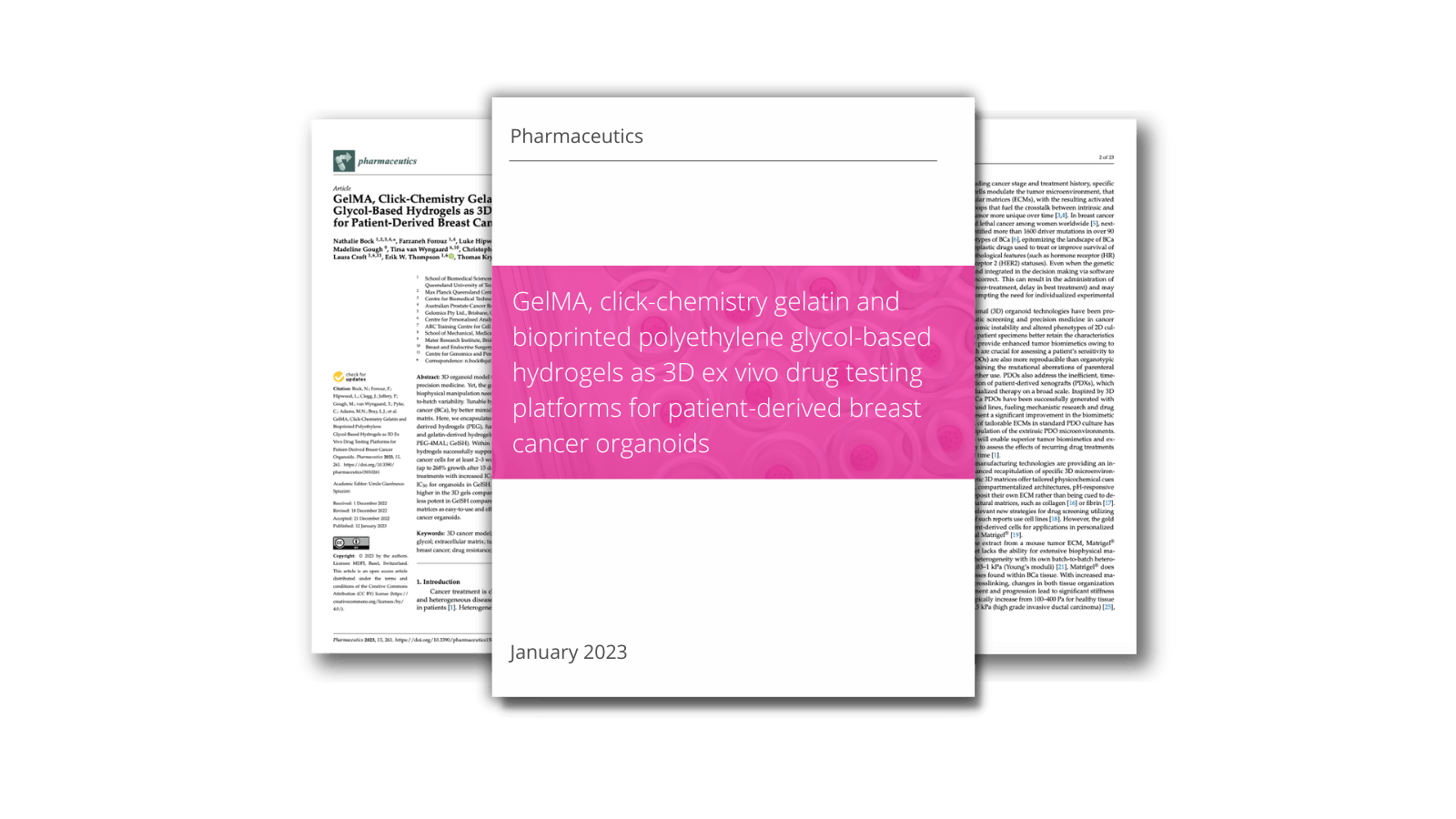 GelMA, click-chemistry gelatin and bioprinted polyethylene glycol-based hydrogels as 3D ex vivo drug testing platforms for patient-derived breast cancer organoids