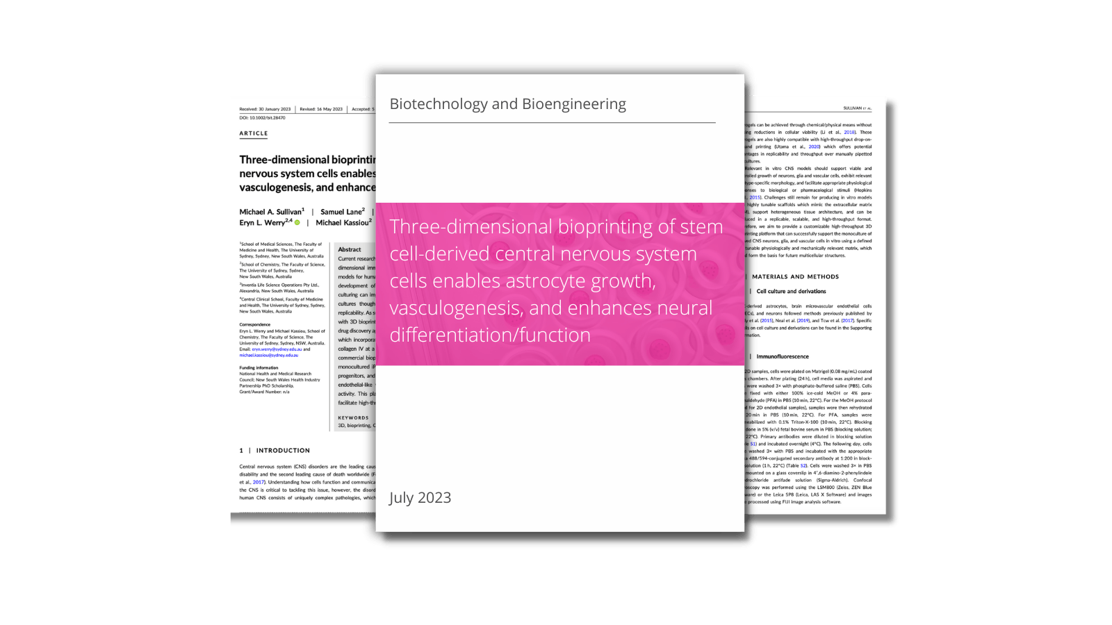 Three‐dimensional bioprinting of stem cell‐derived central nervous system cells enables astrocyte growth, vasculogenesis, and enhances neural differentiation/function