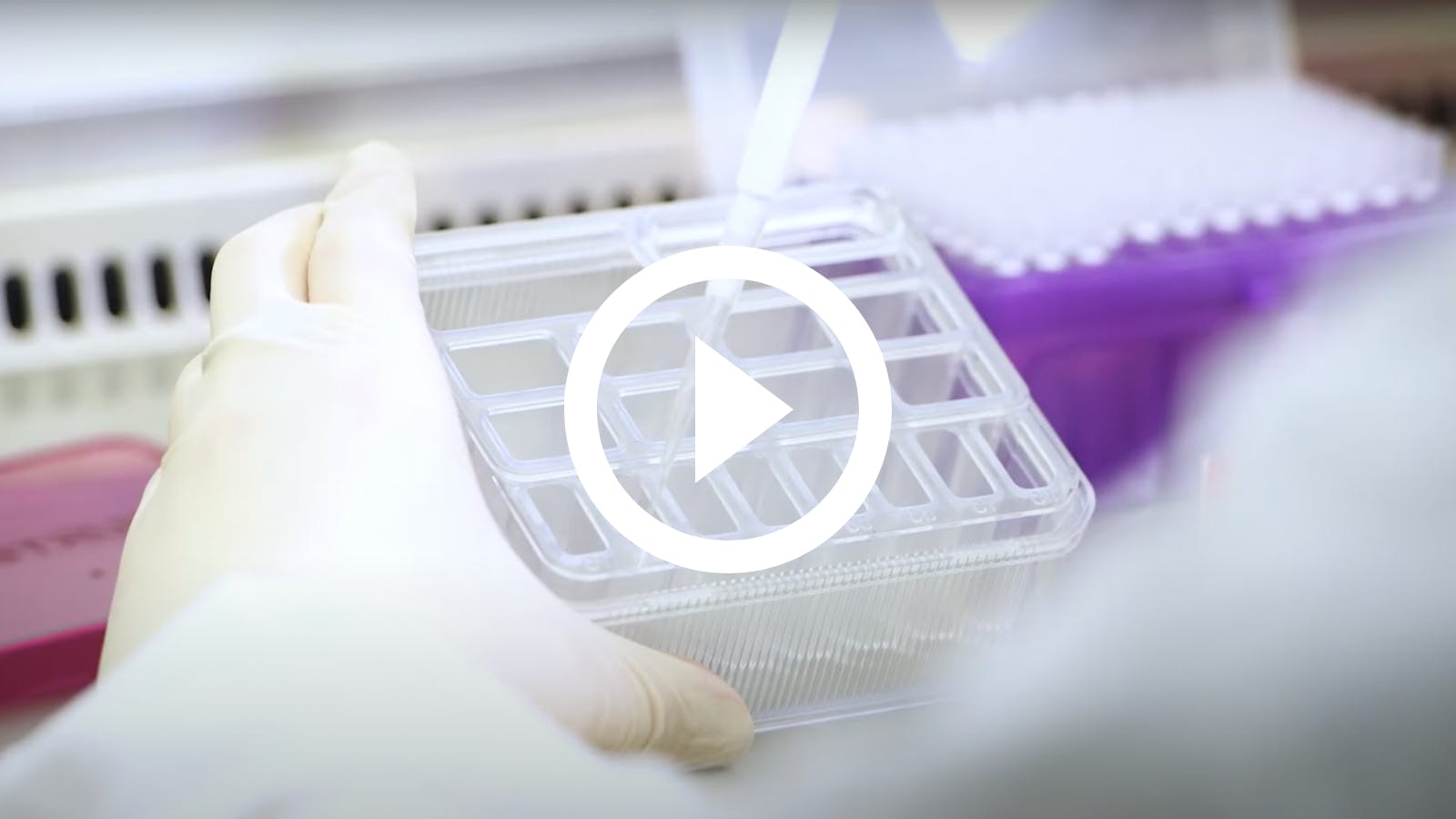 RASTRUM™ Platform workflow