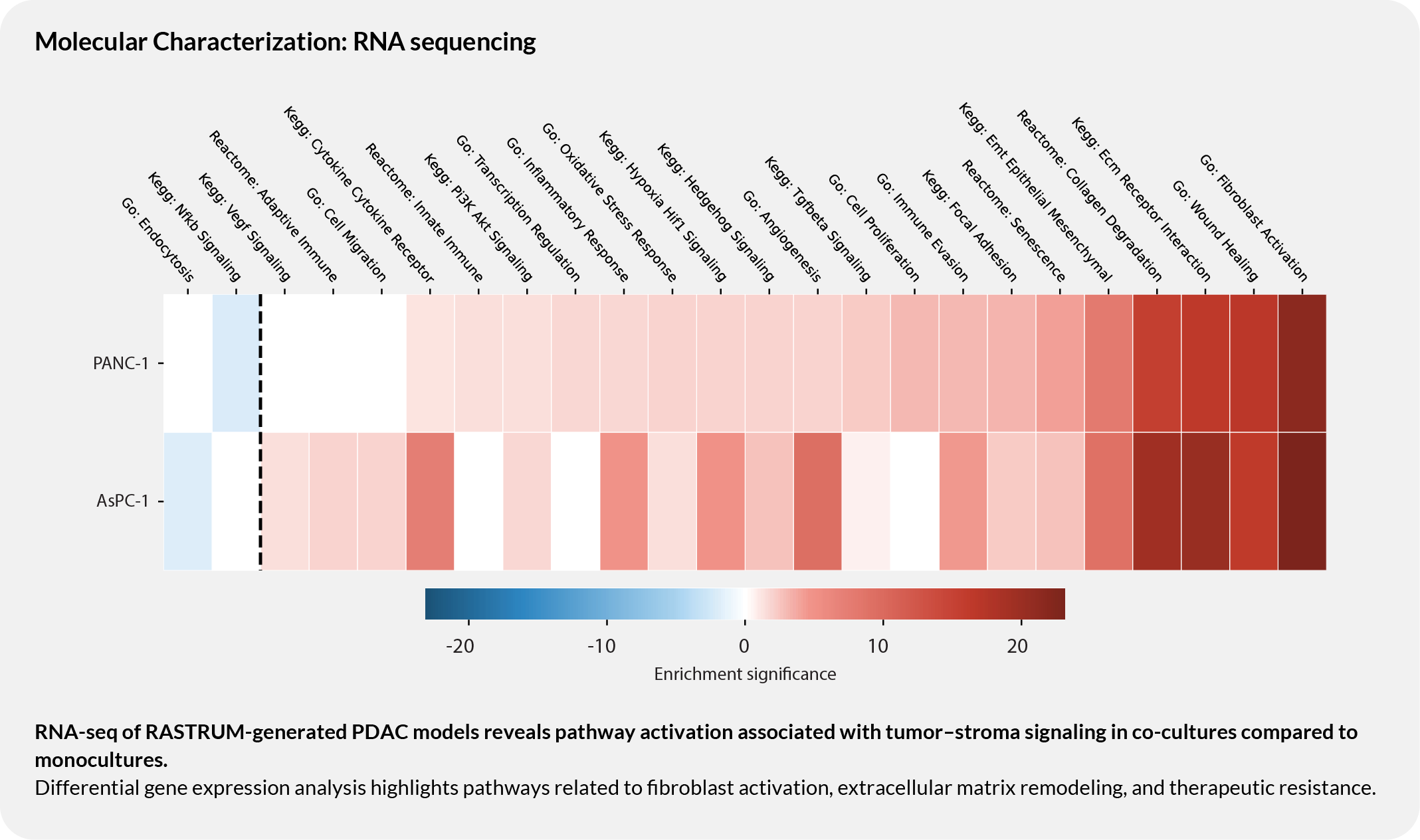 Molecular Characterization