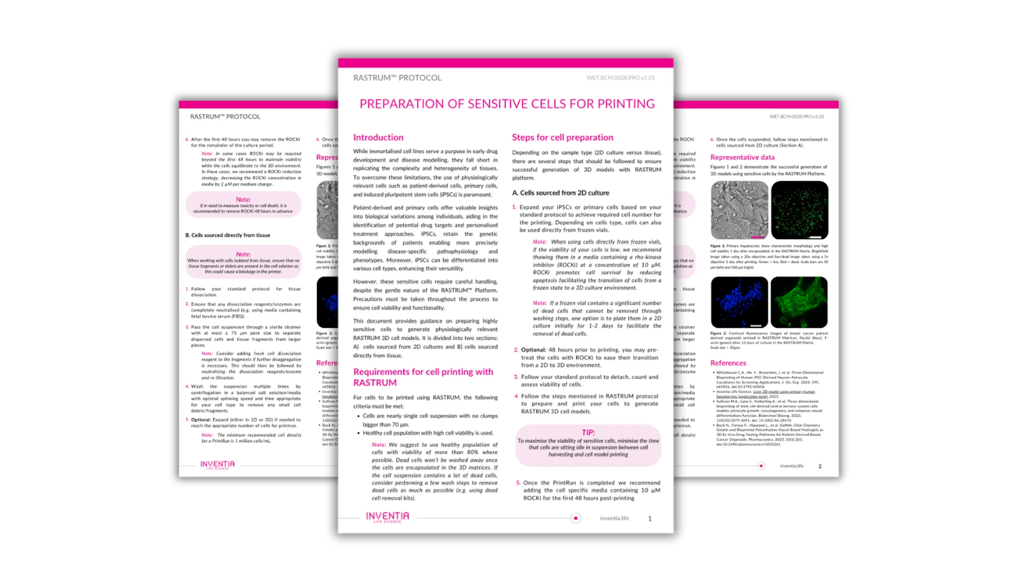 Preparation of sensitive cells for printing