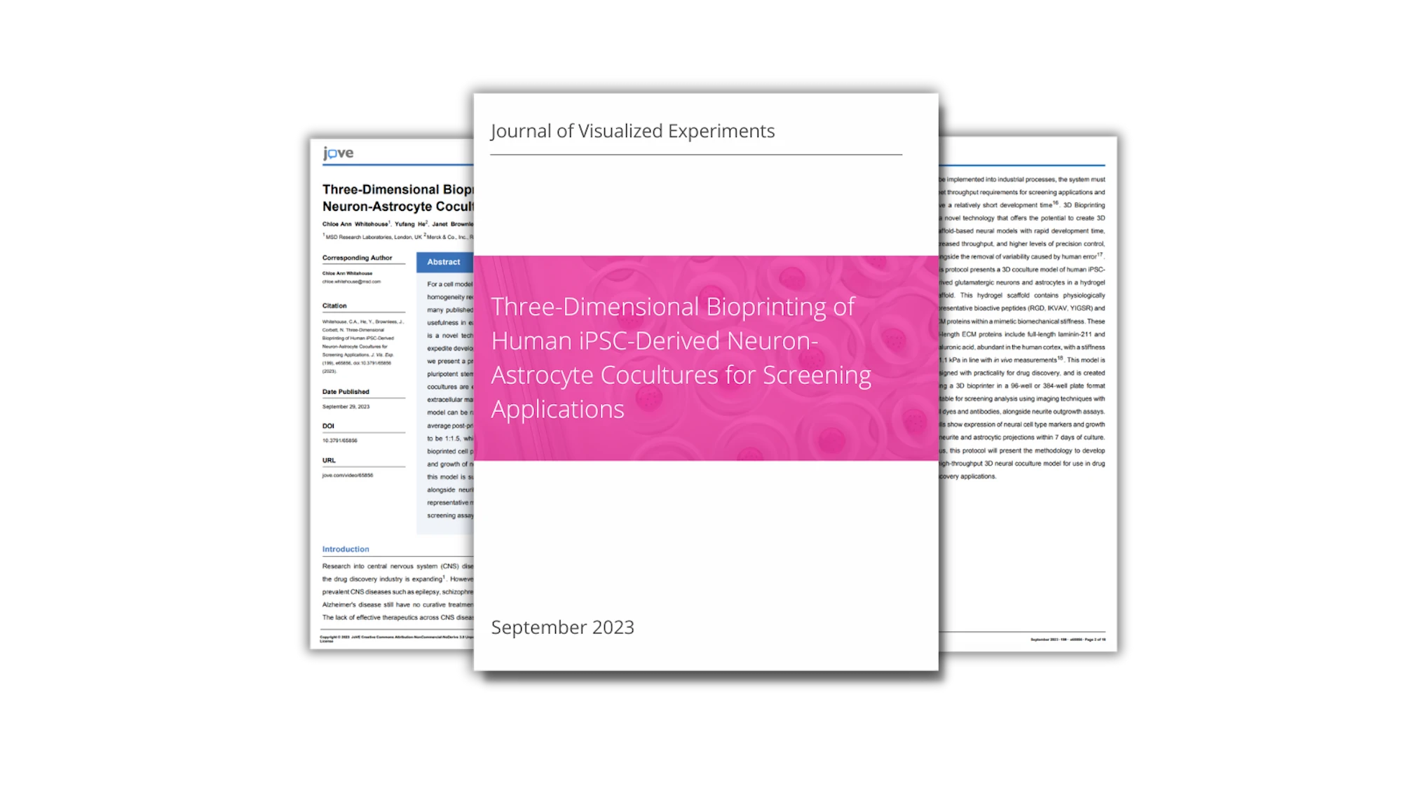 Three-Dimensional Bioprinting of Human iPSC-Derived Neuron-Astrocyte Cocultures for Screening Applications
