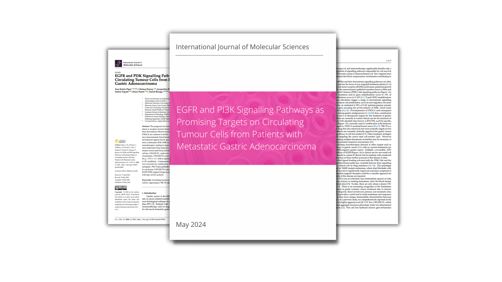 EGFR and PI3K Signalling Pathways as Promising Targets on CTCs from Patients with Metastatic Gastric Adenocarcinoma