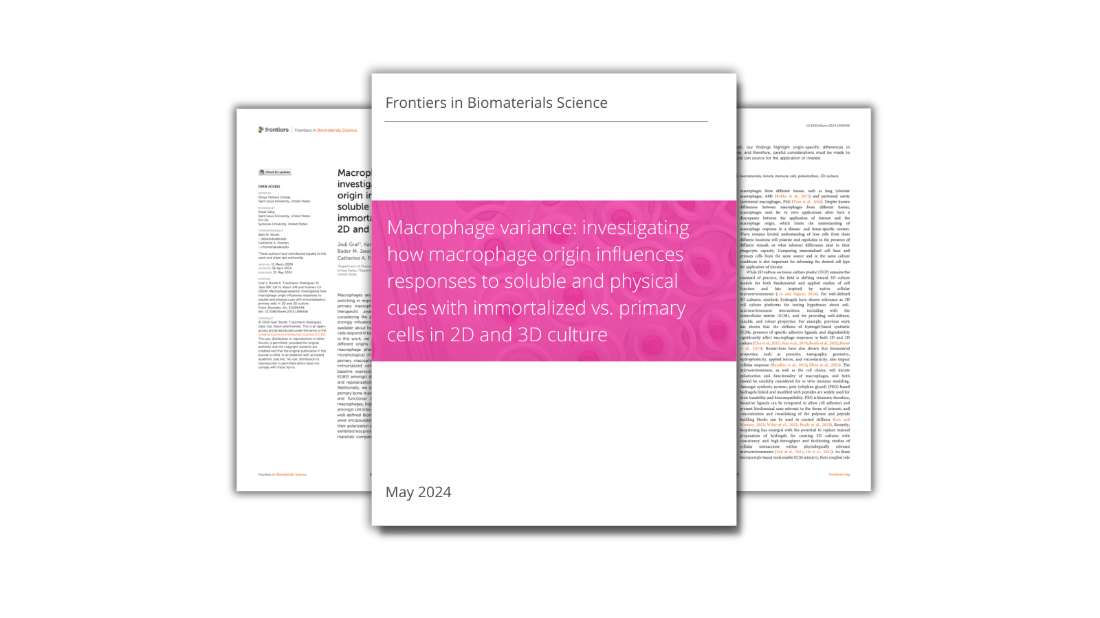 Macrophage variance: investigating how macrophage origin influences responses to soluble and physical cues with immortalized vs. primary cells in 2D and 3D culture