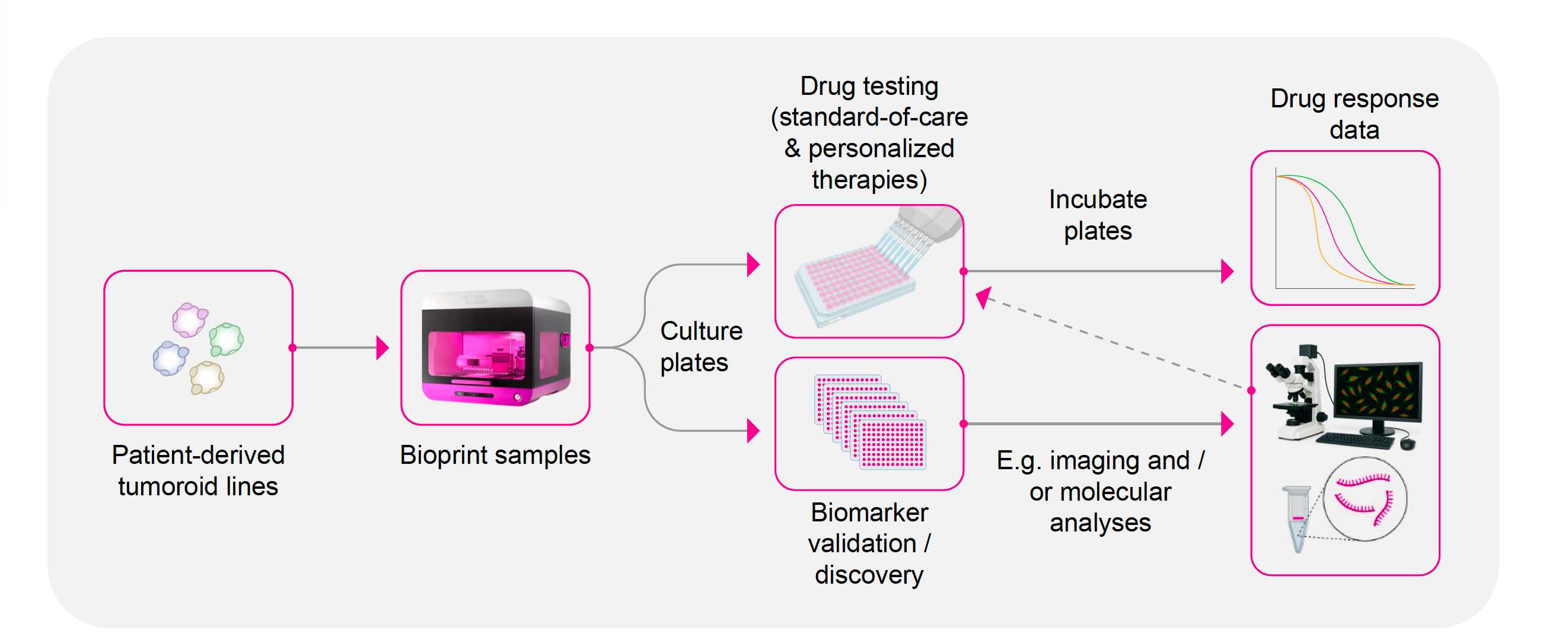 RASTRUM_Allegro_precision_medicine