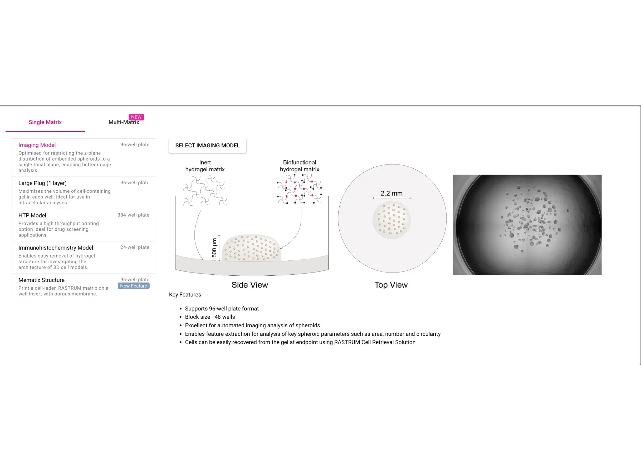 Achieve the ideal cell density for your 3D cell model experiments with step-by-step guidance from RASTRUM Cloud