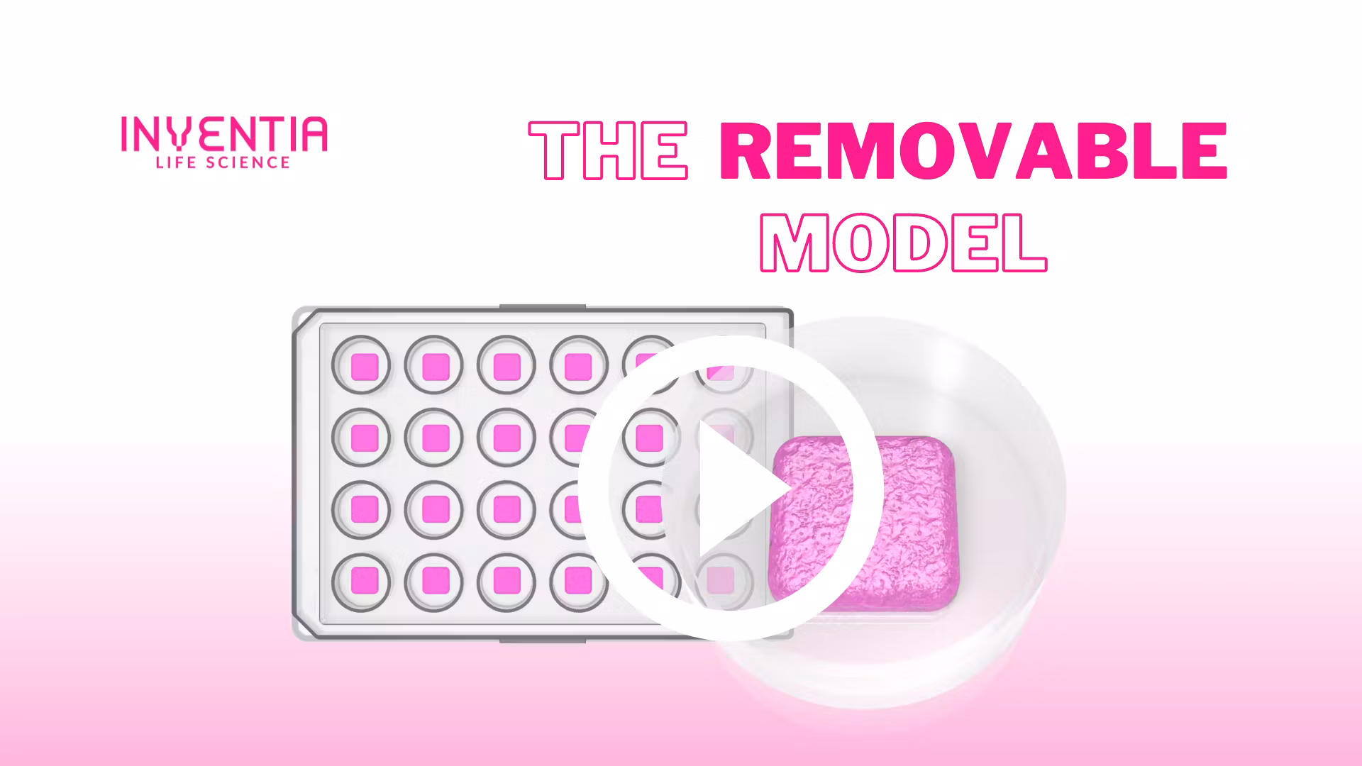 How to handle the RASTRUM™ Removable Model