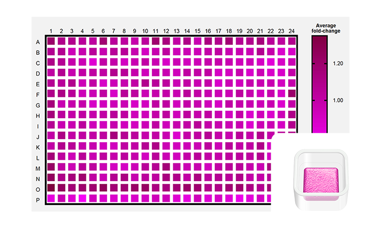 Heatmap showing drug sensitivity assay results for MCF-7 cells printed in a Screening Model architecture across 384-well plates. Inset displays a schematic of the Screening Model, designed for high-throughput workflows, drug screening, and cytotoxicity assays.