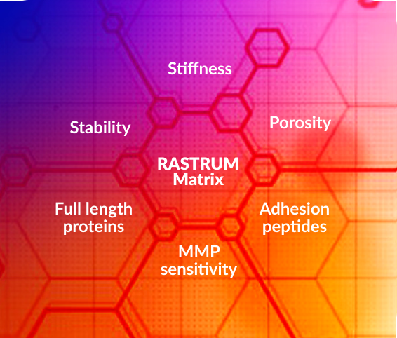 https://inventialifescience.com/hubfs/WebAssets-Diagrams/Matrices%20diagram%20Cnr%20radius%2030.png