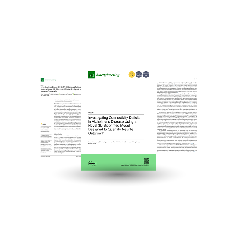 Investigating Connectivity Deficits in Alzheimer’s Disease Using a Novel 3D Bioprinted Model Designed to Quantify Neurite Outgrowth