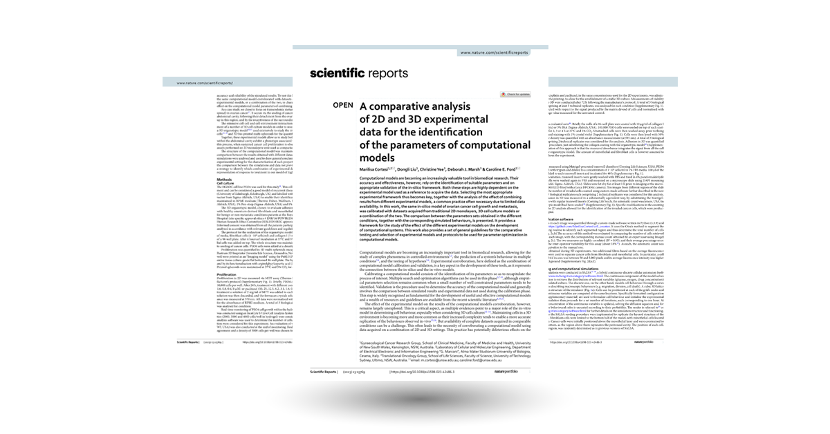A comparative analysis of 2D and 3D experimental data for the identification of the parameters of computational models